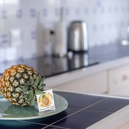 別荘 Casa Beira Mar *