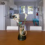 Casa Beira Mar * Mosteiros (Azores)